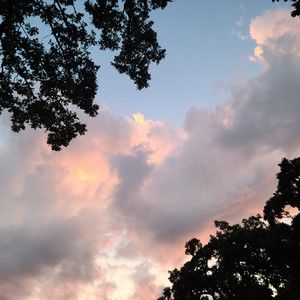 Meet your Posher, Rhedyn